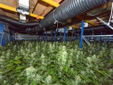 Gemeenten in Flevoland maken gezamenlijk plan tegen ondermijnende criminaliteit