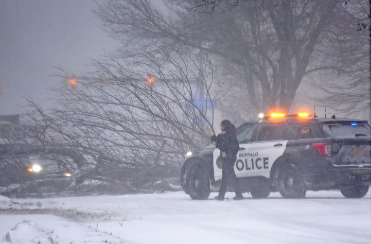 De politie van Buffalo in de staat New York bij een omvergewaaide boom. Beeld Photo News