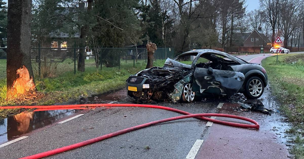 Enorme ravage in Huizen na botsing auto tegen boom.