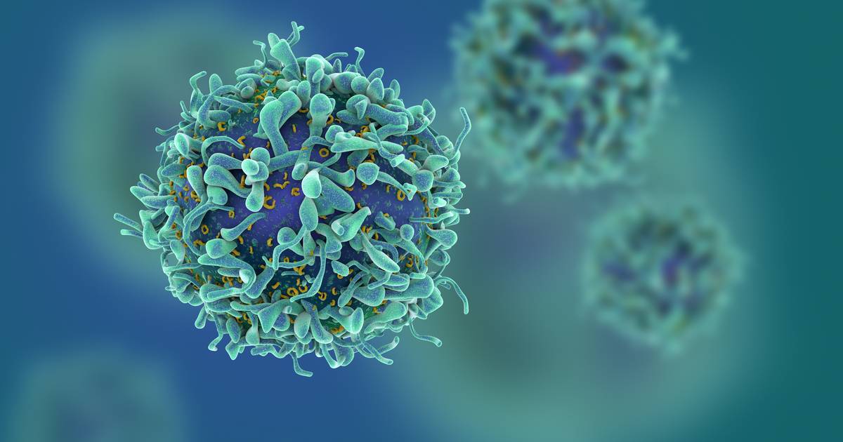 Decine di persone sono state contagiate dal nuovo virus Lagia |  Salute