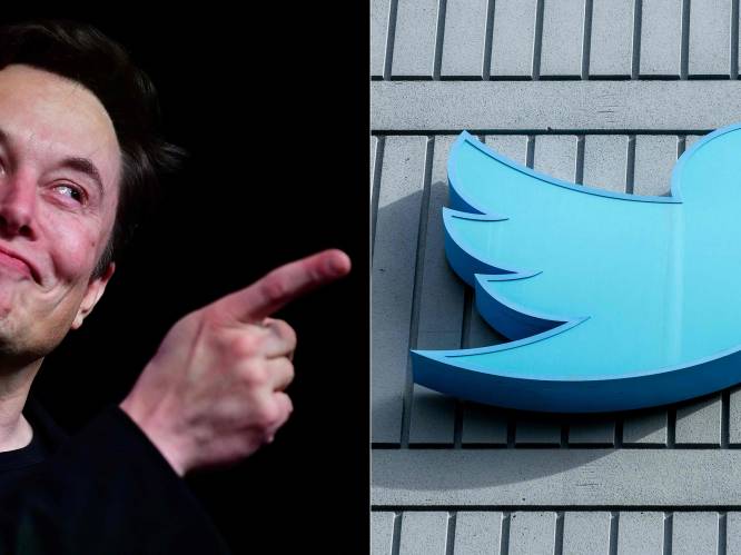 Drie weken chaos bij Twitter in tweets van Elon Musk