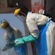 Nederland geeft tien miljoen en drie ton voor hulp ebola