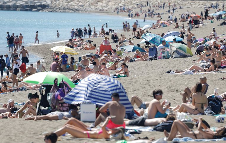 woestenij schending kosten Spanje gaat voor begin lente al gebukt onder recordhitte | Trouw