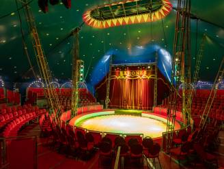 Circus Barones strijkt neer op parking van KSAV Sint-Dimpna met ‘Rock the Circus’-show