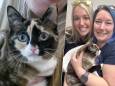 Kat uit Utah kruipt ongemerkt in retourdoos en wordt zes dagen later gevonden in Amazon-pakhuis in Californië