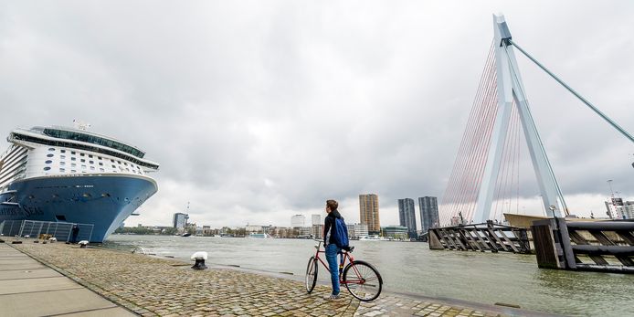 De HAL-kade in Rotterdam. Het cruiseschip Ovation of the Seas ligt er aangemeerd.