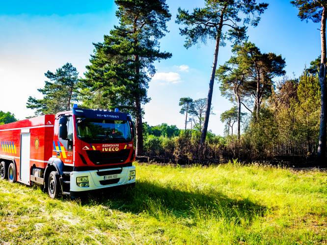Natuurbrand in Hoge Venen: brandweer vraagt hulp aan Duitse collega’s