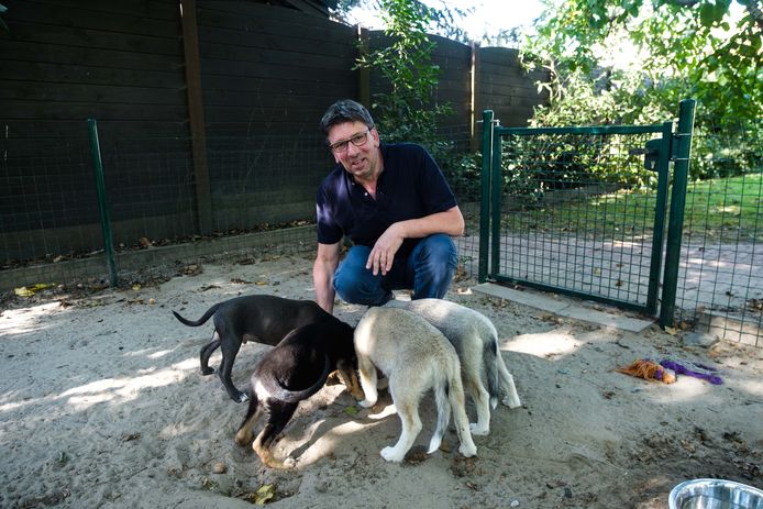 Happy Doggy krijgt schadevergoeding van Vlaanderen, maar Dogs & Co geschrapt witte lijst | Antwerpen | hln.be