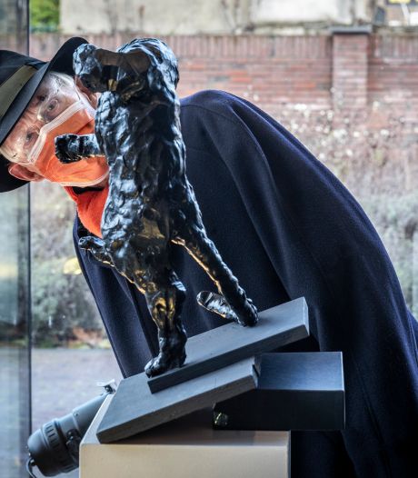 77 katten voor de Oranjebuurt: ‘Het is natuurlijk een vette knipoog naar de Kattenmeppers’