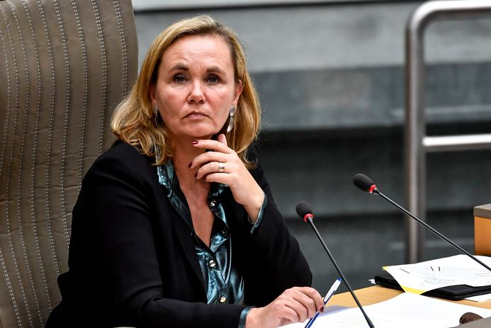 Vlaams parlementsvoorzitter Liesbeth Homans.