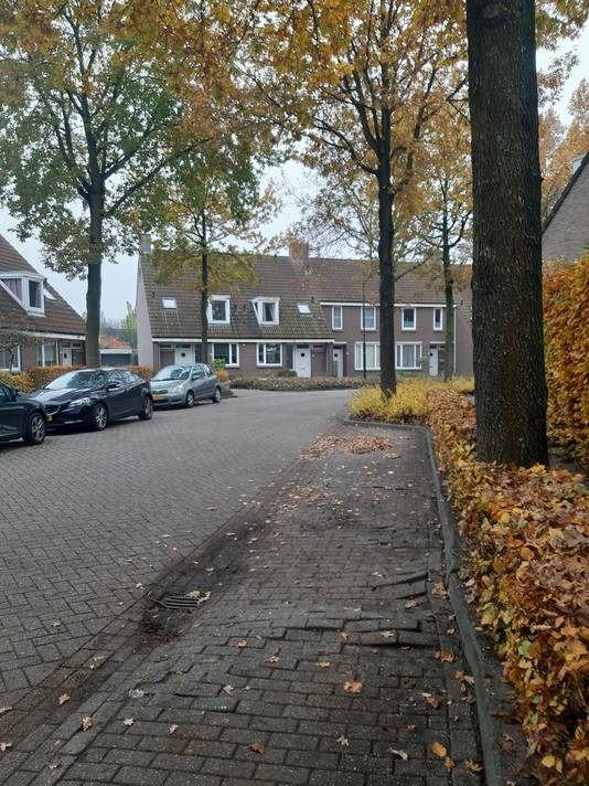 Bomen aan de Gildelaan zorgen voor overlast, vinden bewoners. De gemeente komt met het derde plan.