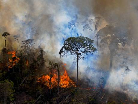 Ontbossing Amazone hoogste in 15 jaar, regering-Bolsonaro hield cijfers achter
