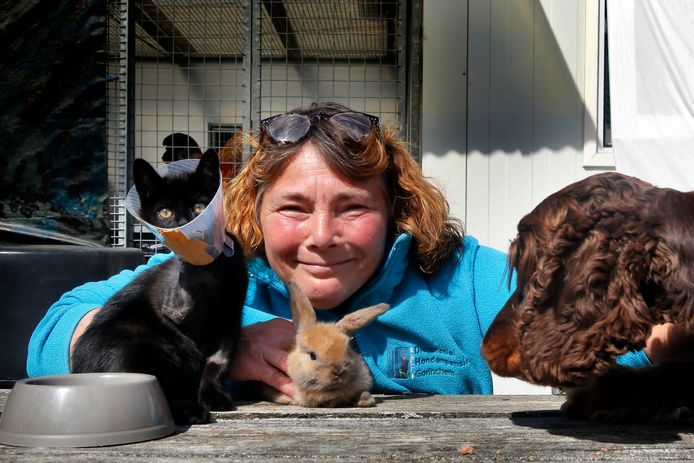 Cor de Kock

Cora Rikkelman en andere medewerkers van het Dierenasiel Gorinchem zijn donderdag verrast door Stichting DierenLot met een cheque ter waarde van 38.500 euro.