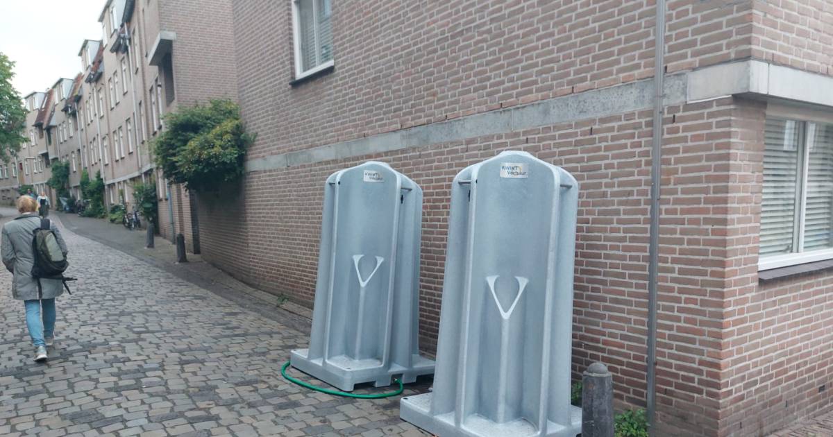 Public urinators infest Nijmegen city center during Four Days Marches festivities: ‘Woman went to the bathroom between flower pots’ |  Four Days Marches 2022