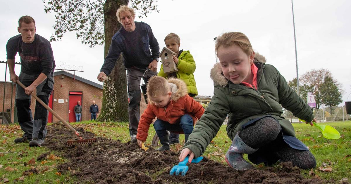 Blubberrun Haghorst pakt overlast processierups op natuurlijke wijze aan: met plantjes