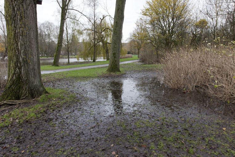 De kwetsbare grond in het Oosterpark. Beeld Roy del Vecchio