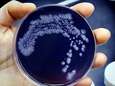 Op 20 plekken in Brabant loert de gevaarlijke legionellabacterie