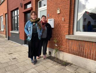 Zwijnaarde is 28 geveltuintjes rijker. “Met dank aan het wijkbudget en heel veel helpende handen”