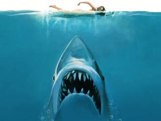“Dit was géén gewone haai”: het waargebeurde verhaal achter ‘Jaws’, een huiveringwekkend bloedbad