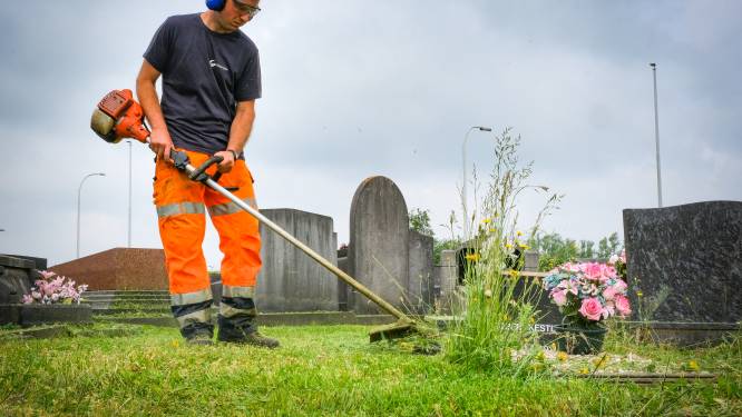 Gemeente stelt 4 leerlingen tewerk tijdens YOUCA Action Day