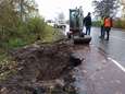 Bever zorgt voor problemen in dijk bij Ravenstein
