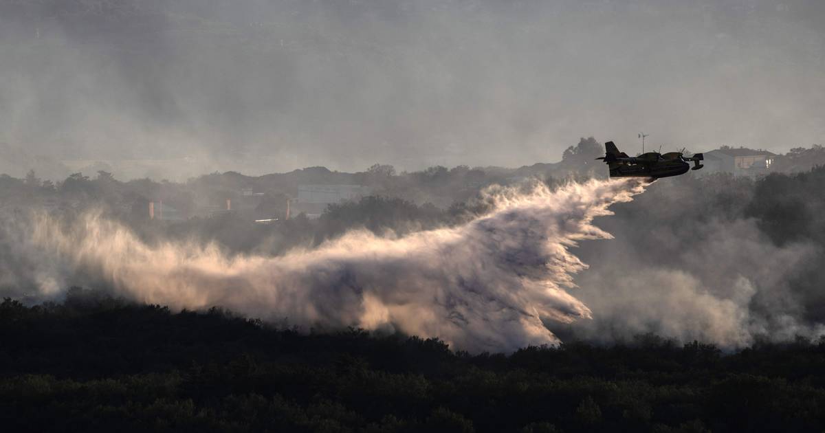 Des centaines de clients du camping évacués en raison d’incendies de forêt dans le sud de la France |  À l’étranger