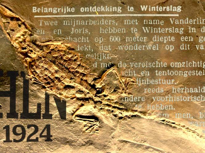 ▶HLN 1924: “Twee mijnarbeiders hebben te Winterslag een geraamte ontdekt, dat wonderwel op dit van een krokodil gelijkt.”