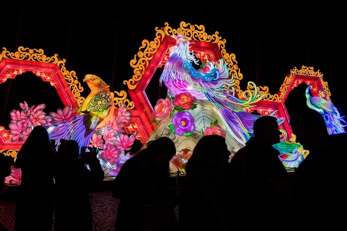 China Light Festival in Ouwehands Dierenpark is 'alsof je in een  sprookjesparadijs loopt' | Rhenen 