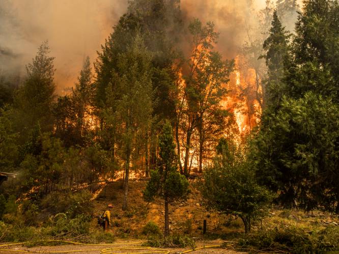 ‘Dixie Fire’ is nu al tweede grootste brand die de staat Californië ooit geteisterd heeft