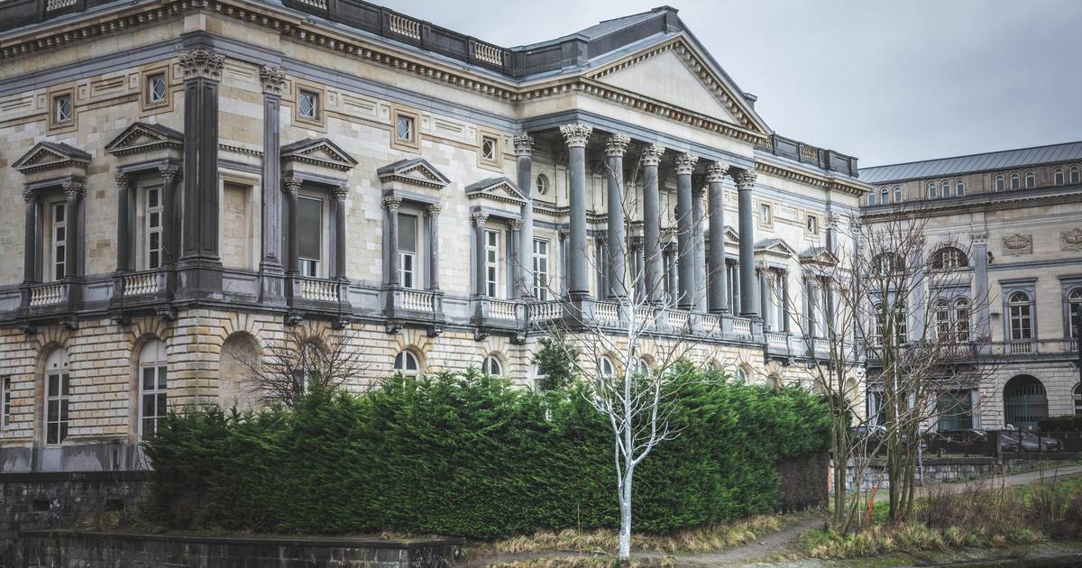 Bizar metershoge boom achter oud justitiepaleis volledig ingepakt in