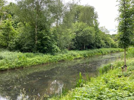 Verbeter het water, begin bij jezelf: was je auto een stuk minder, bijvoorbeeld