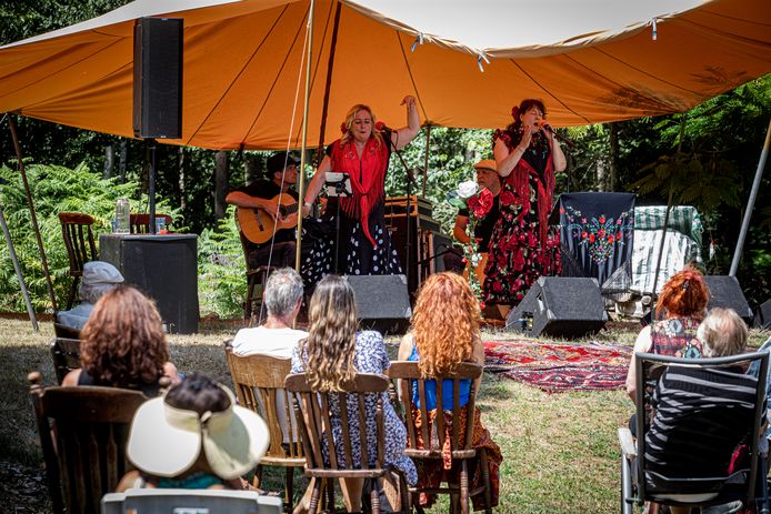 Een optreden op het Gypsy Roots Festival in Westelbeers.