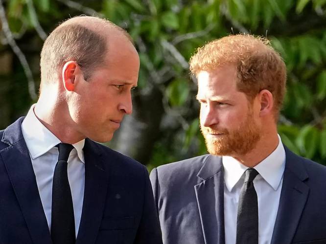 Prins Harry zou plannen hebben om broer William en prinses Kate in mei te zien, “al zal het een kort bezoek worden”