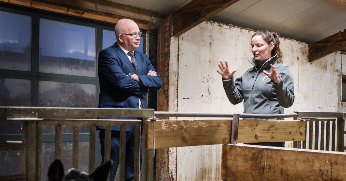 De boerenwereld op de kop: ‘Nederland gaat er anders uitzien’