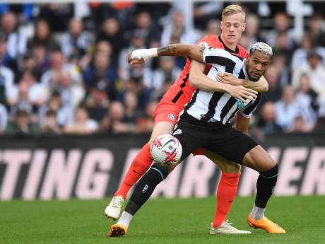 Basisklant Van Hecke hard onderuit met Brighton