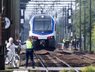Drama in Nederland: 4 kinderen komen om bij botsing tussen trein en elektrische bolderkar van kinderdagverblijf