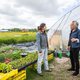 Krijgt de groene Lutkemeerpolder een Voedselpark? ‘Industrieterrein is ook belangrijk, maar dit kan alleen op deze plek’