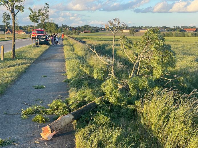 Bij een ongeval langs de Briekestraat in Zonnebeke raakten drie twintigers gewond.