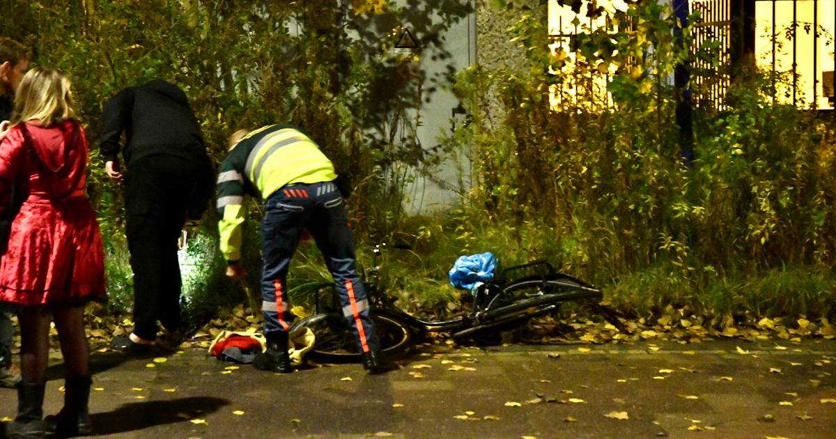 Vrouw overleden na aanrijding met bestelbus in Utrecht.