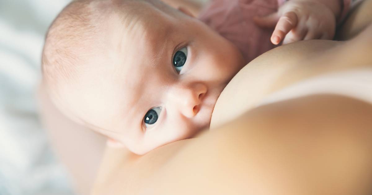 Primeur Transgender Vrouw Geeft Borstvoeding Buitenland Ad Nl