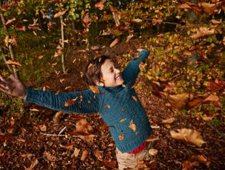 Kwik klimt tot 21 graden, maar morgen gaat het fel waaien: KMI kondigt code geel af