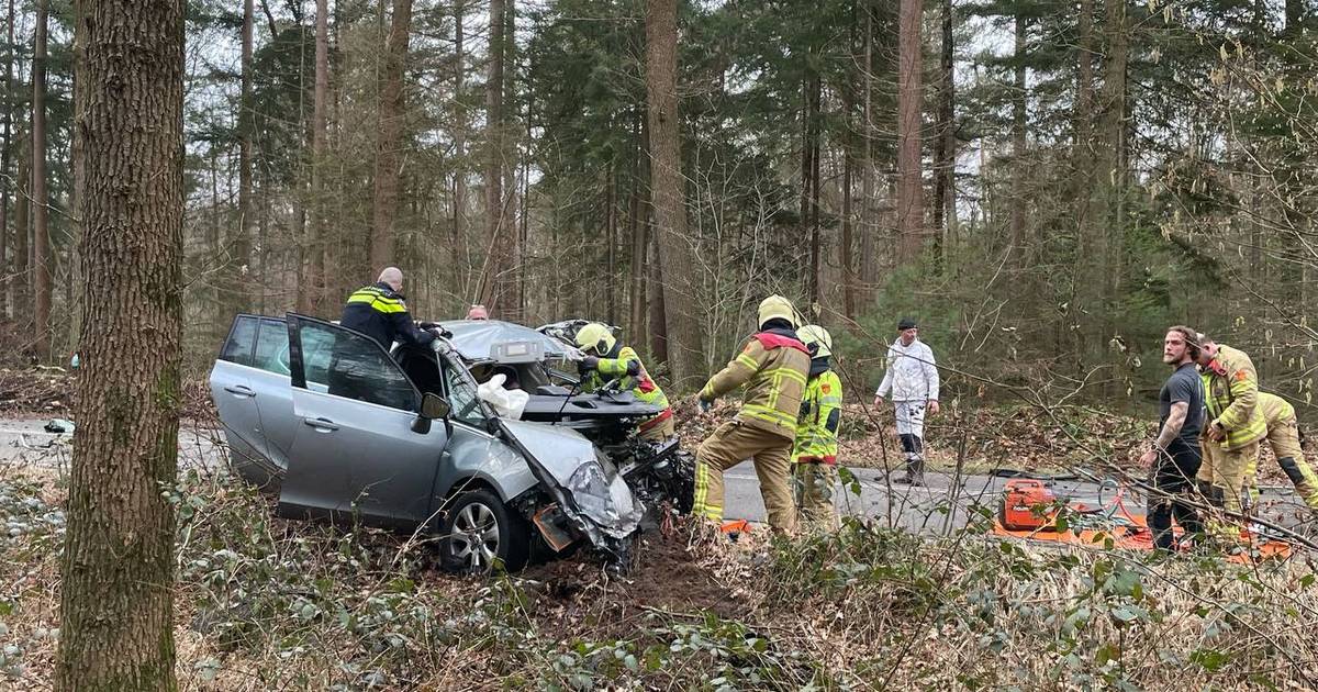 Ernstig ongeval op N310 tussen auto en vrachtwagen.