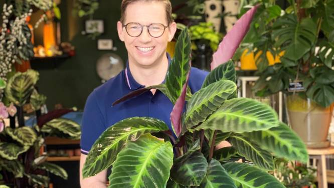 7 x adresjes om planten te kopen in en rondom Eindhoven