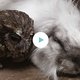 Lief! Uil en konijn kruipen tegen elkaar aan