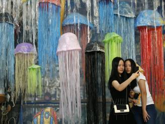 In 2050 is er meer plastic dan vis in de zee