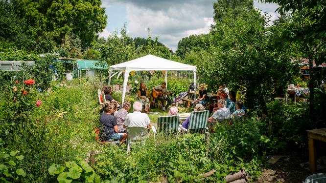 Gluren bij de Buren: festival voor amateurkunstenaars wordt deze zomer voor het eerst in Deventer gehouden