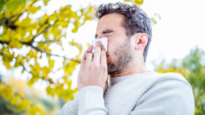 Sciensano waarschuwt allergielijders voor berkenpollenseizoen 