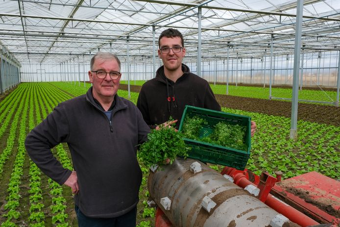 Philippe en Thijs tussen hun gewassen.