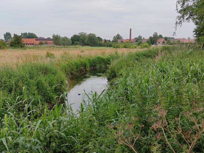Waterpeil in Heulebeek kritisch laag, gouverneur voert onttrekkingsverbod in