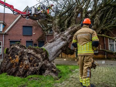 TERUGLEZEN | Steeds meer duidelijk over stormschade, kosten richting half miljard euro